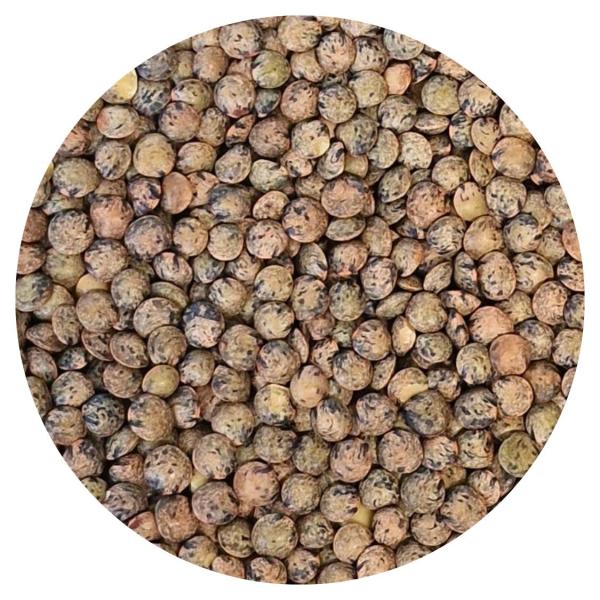 Grüne Linsen nach Art 'Du Puy'